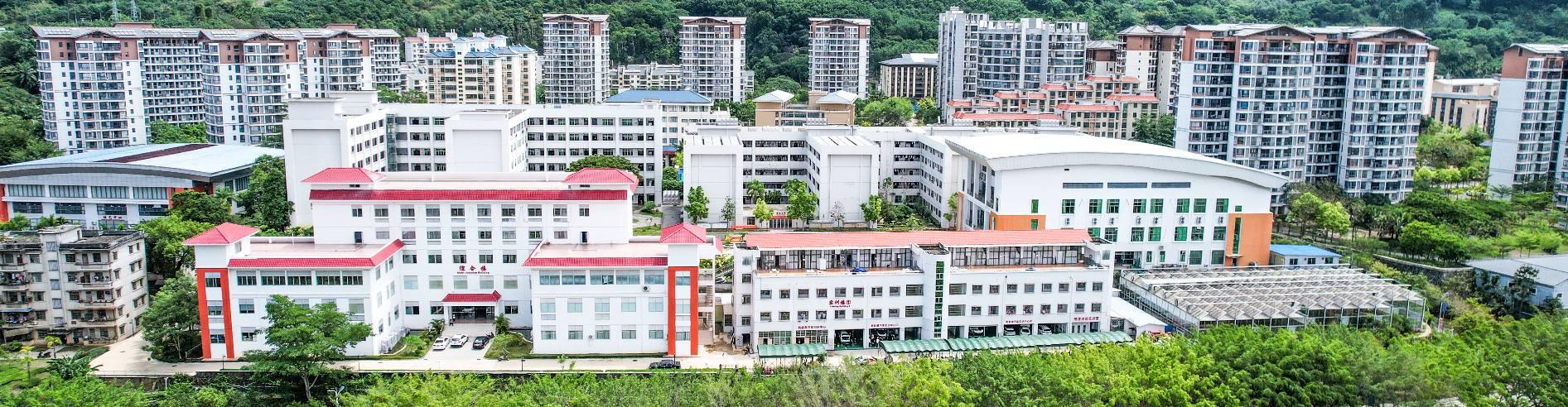 学校高空全景